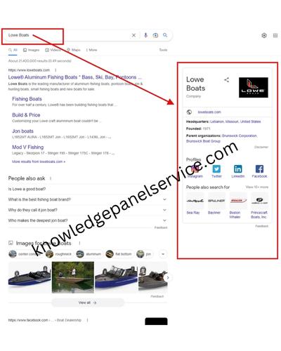 company google knowledge panel