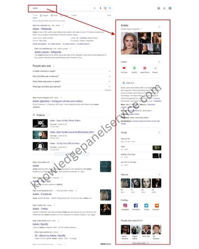 music google knowledge panel service