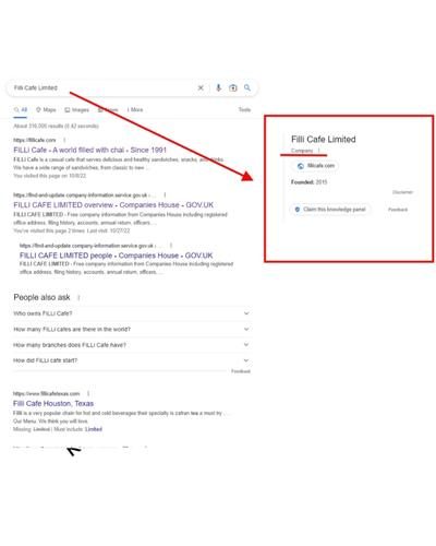 company google knowledge panel