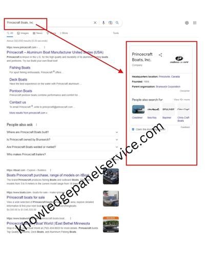 company google knowledge panel service