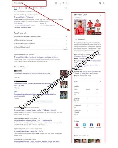 football google knowledge panel